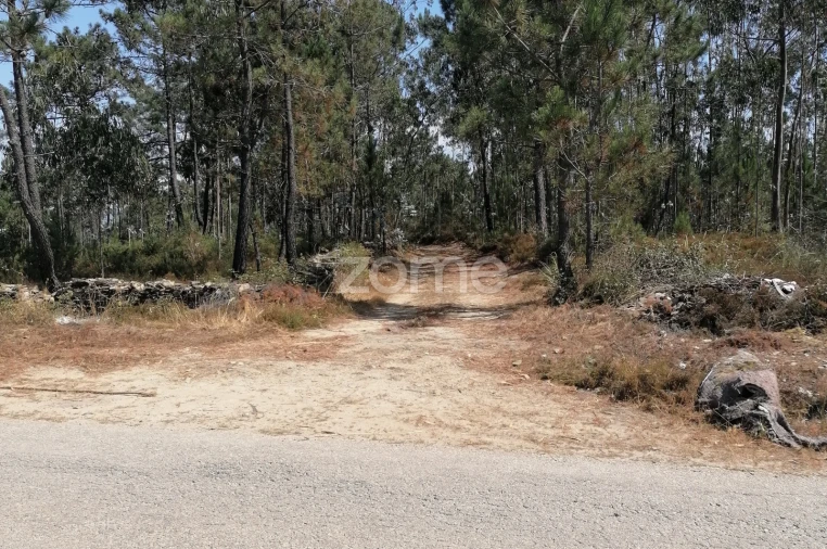 Terreno para Venda em Braga (Maximinos, Sé e Cividade) Foto 14