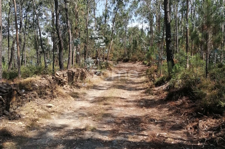 Terreno para Venda em Braga (Maximinos, Sé e Cividade) Foto 15