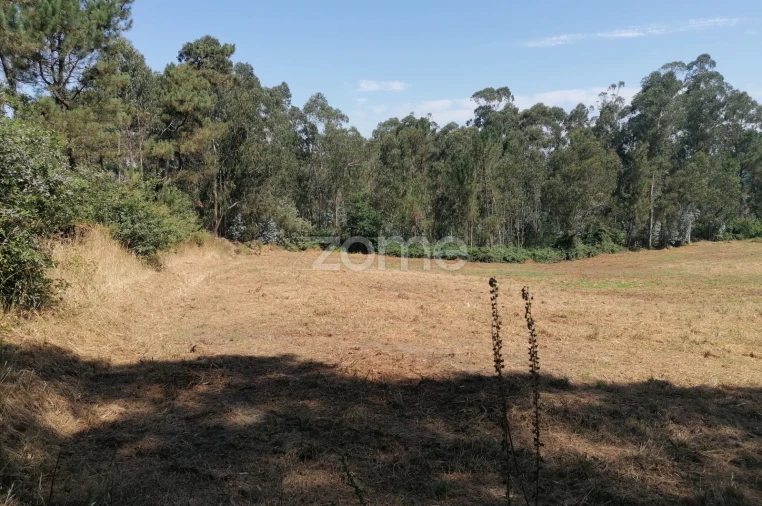 Terreno para Venda em Braga (Maximinos, Sé e Cividade) Foto 3