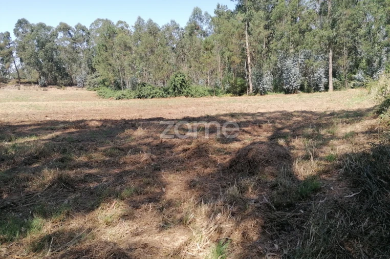 Terreno para Venda em Braga (Maximinos, Sé e Cividade) Foto 17