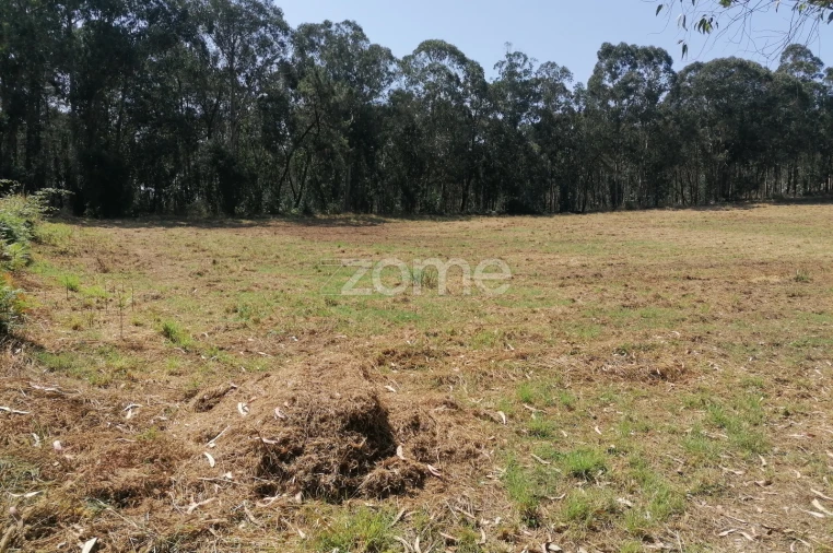 Terreno para Venda em Braga (Maximinos, Sé e Cividade) Foto 18