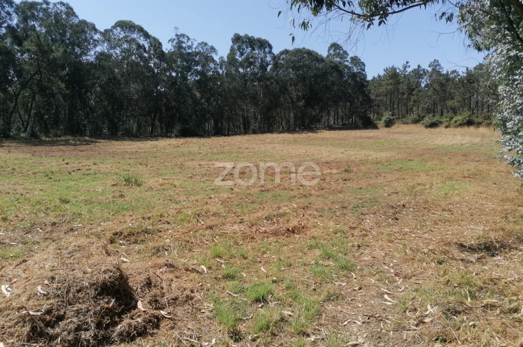 Terreno para Venda em Braga (Maximinos, Sé e Cividade) Foto 1