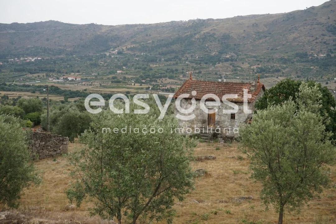 Quinta T2 para Venda em Aldeia Viçosa Foto 5