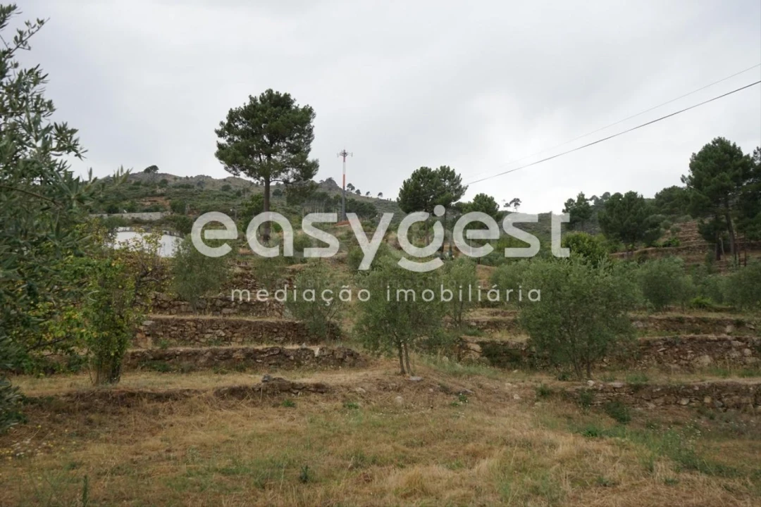 Quinta T2 para Venda em Aldeia Viçosa Foto 7