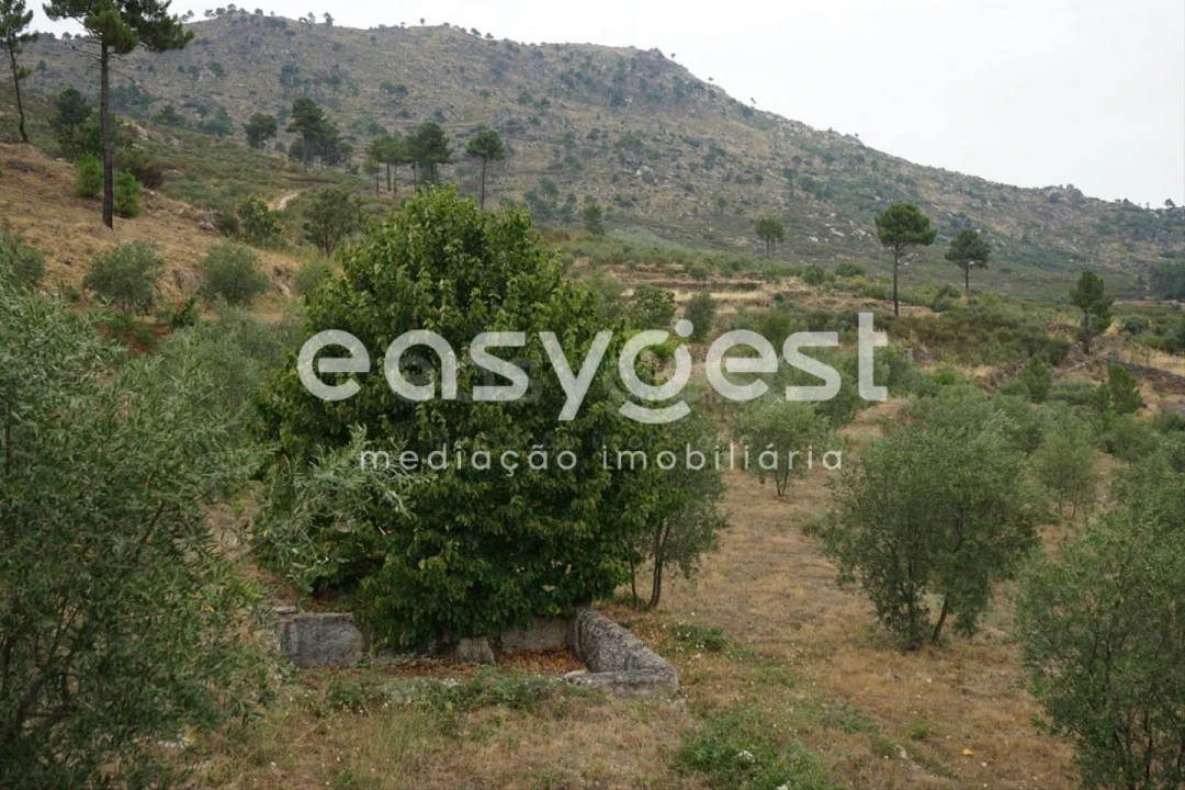 Quinta T2 para Venda em Aldeia Viçosa Foto 10