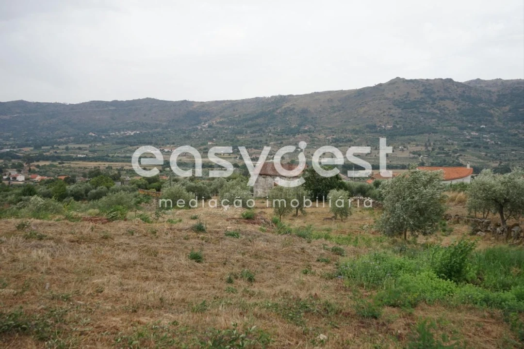 Quinta T2 para Venda em Aldeia Viçosa Foto 11