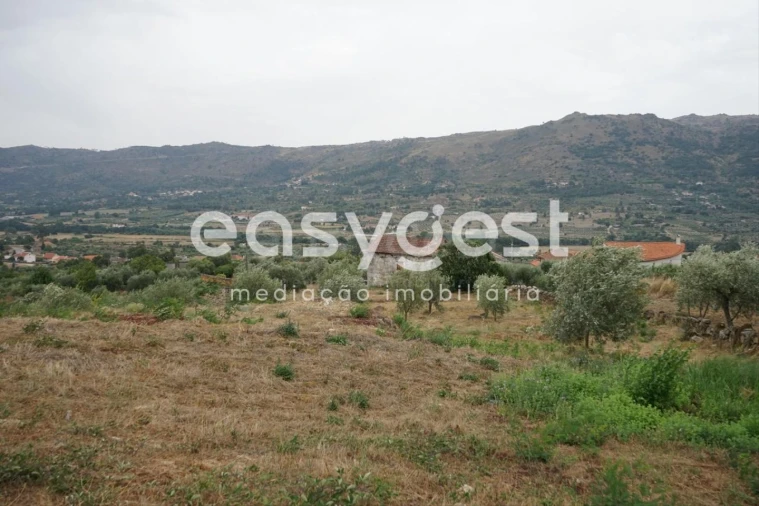 Quinta T2 para Venda em Aldeia Viçosa Foto 11