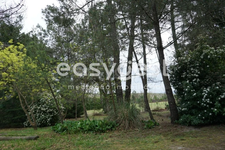 Moradia T3 para Venda em Freches e Torres Foto 2