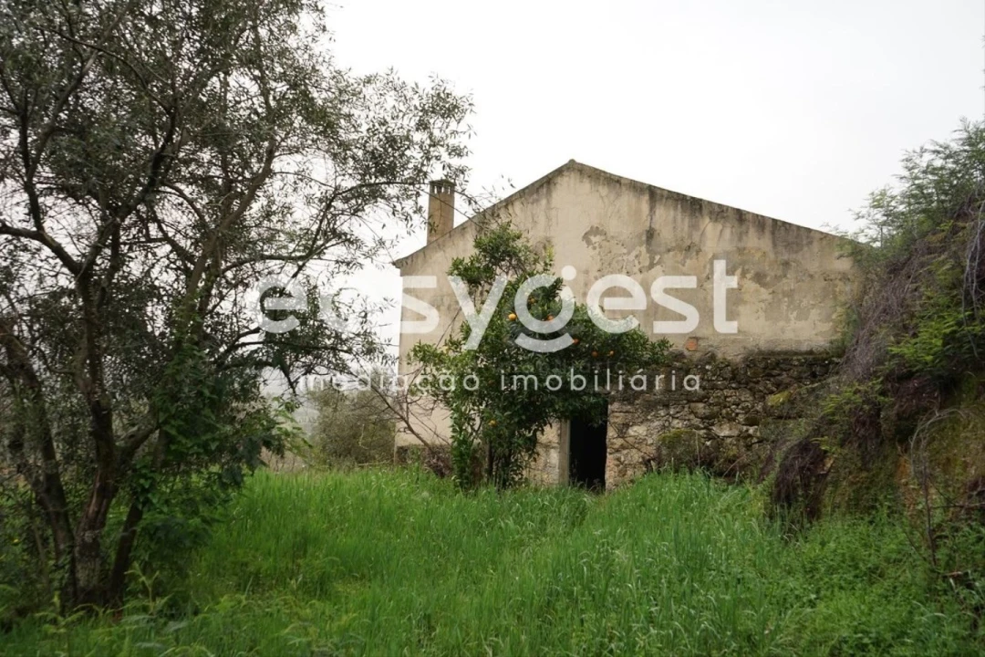 Quinta T3 para Venda em Gonçalo Foto 4