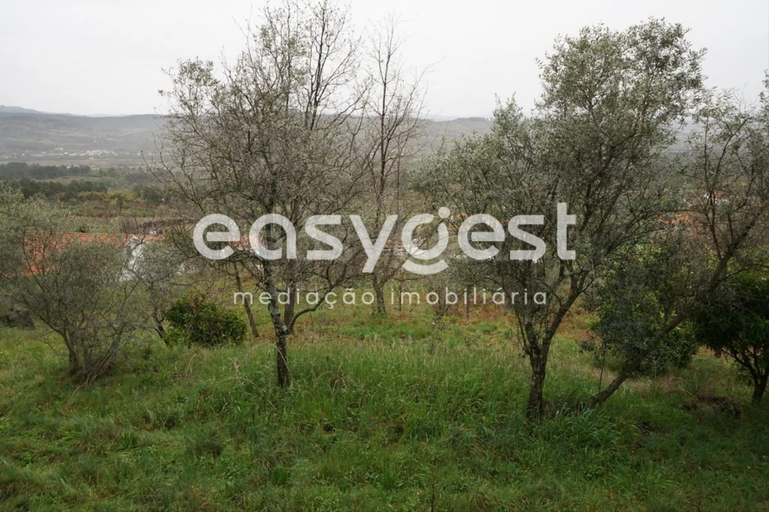 Quinta T3 para Venda em Gonçalo Foto 14