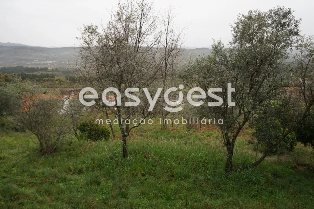 Quinta T3 para Venda em Gonçalo Foto 15