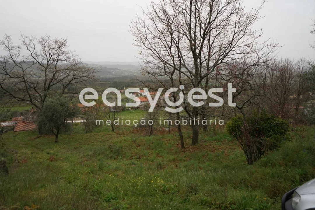 Quinta T3 para Venda em Gonçalo Foto 17