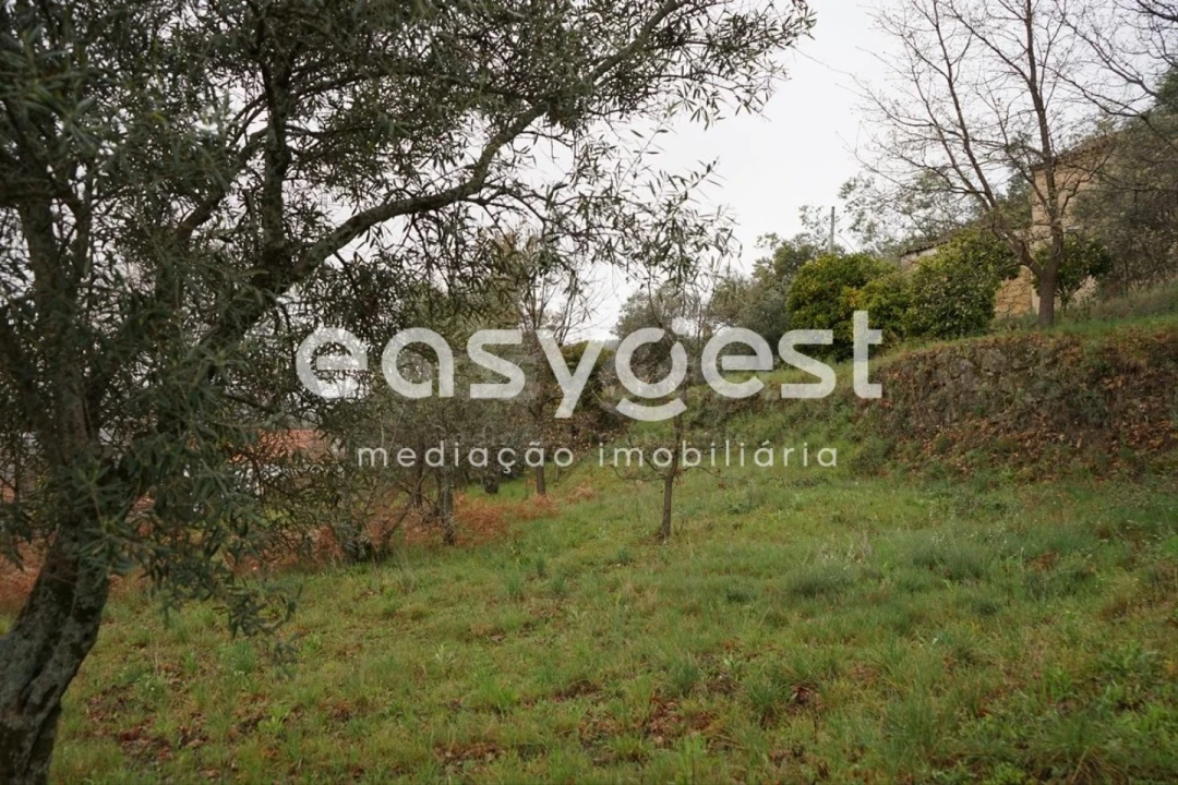 Quinta T3 para Venda em Gonçalo Foto 20