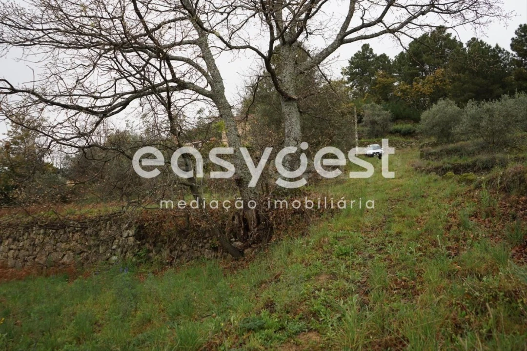 Quinta T3 para Venda em Gonçalo Foto 22