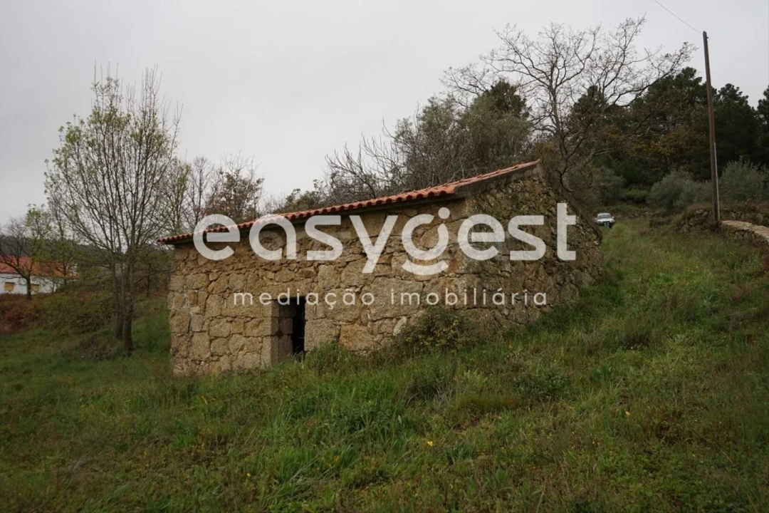 Quinta T3 para Venda em Gonçalo Foto 23