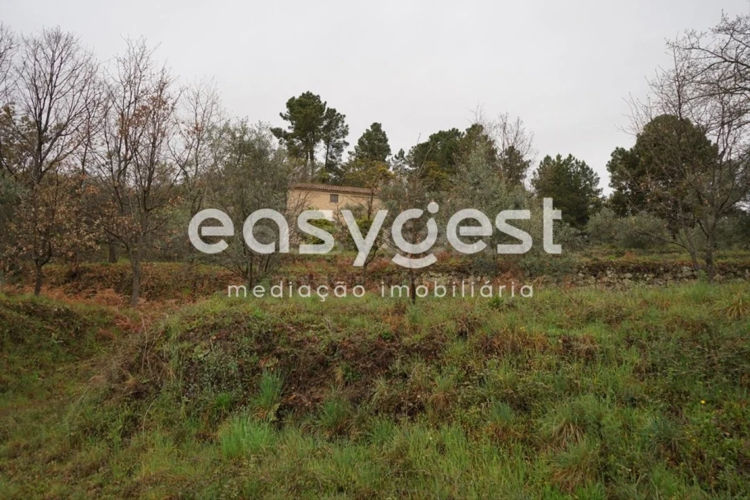 Quinta T3 para Venda em Gonçalo Foto 27