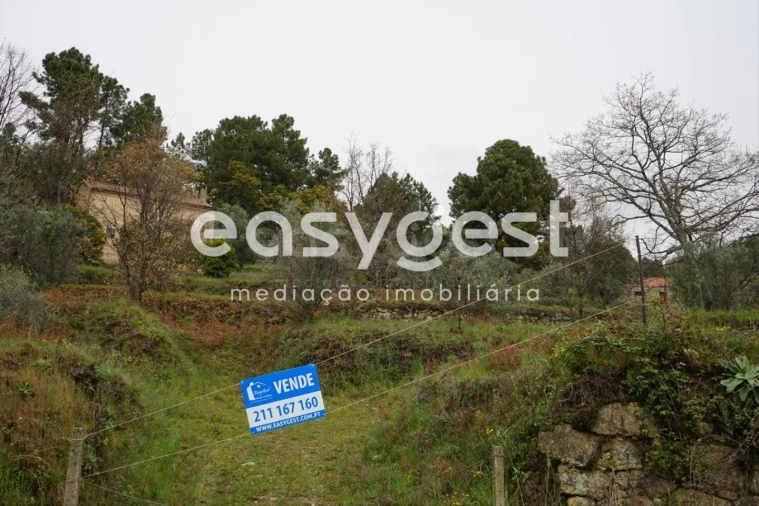 Quinta T3 para Venda em Gonçalo Foto 1