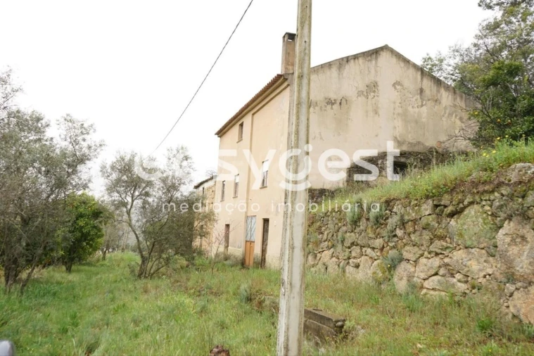 Quinta T3 para Venda em Gonçalo Foto 2