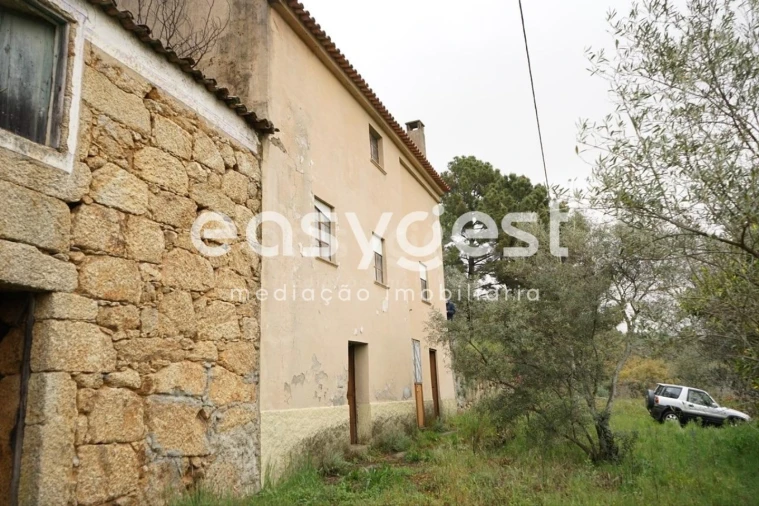 Quinta T3 para Venda em Gonçalo Foto 3