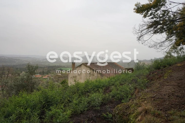 Quinta T3 para Venda em Gonçalo Foto 16