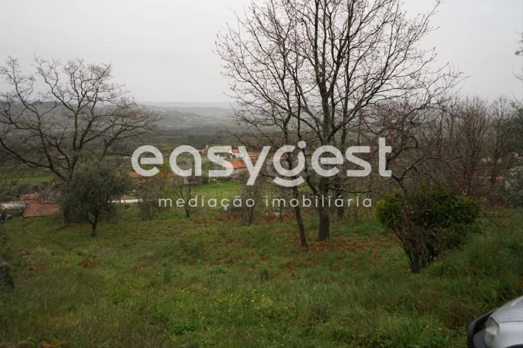 Quinta T3 para Venda em Gonçalo Foto 17