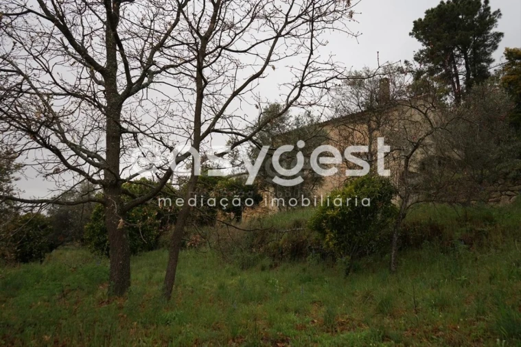 Quinta T3 para Venda em Gonçalo Foto 18