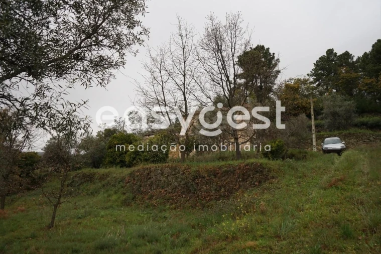 Quinta T3 para Venda em Gonçalo Foto 19