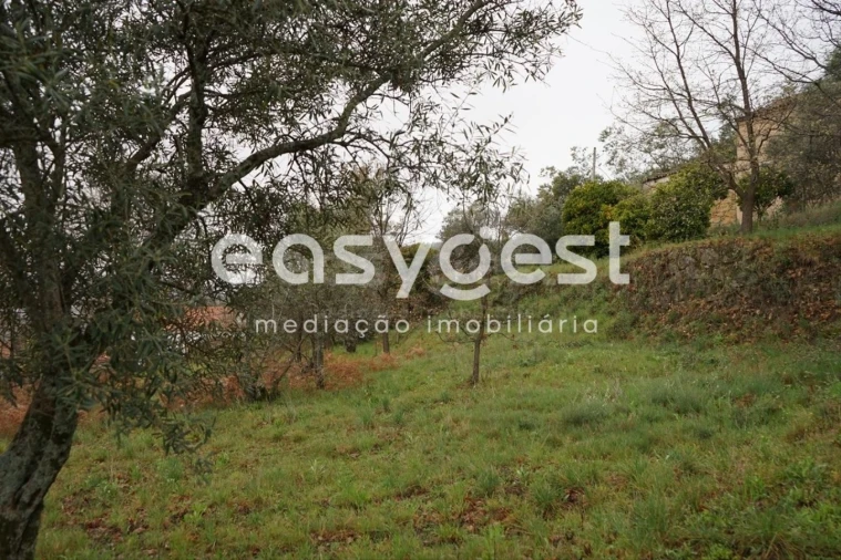 Quinta T3 para Venda em Gonçalo Foto 20