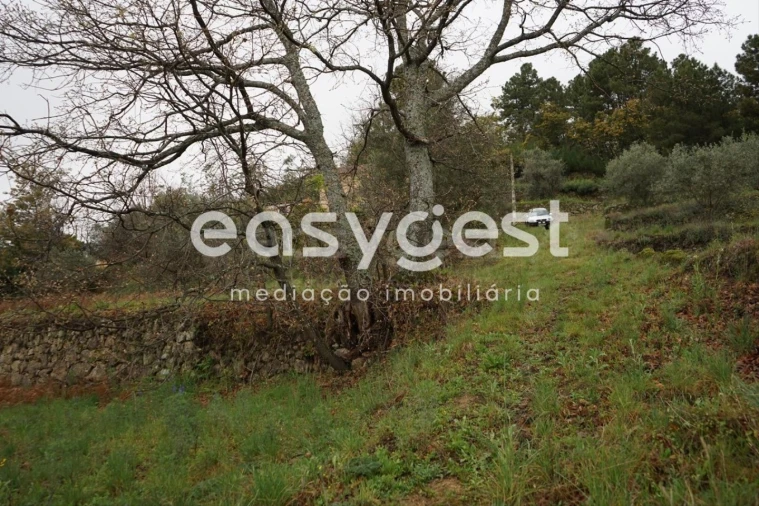 Quinta T3 para Venda em Gonçalo Foto 22