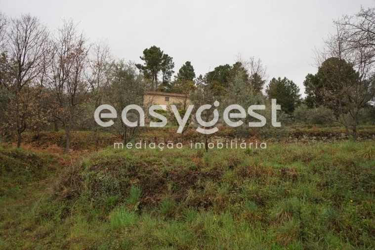 Quinta T3 para Venda em Gonçalo Foto 27