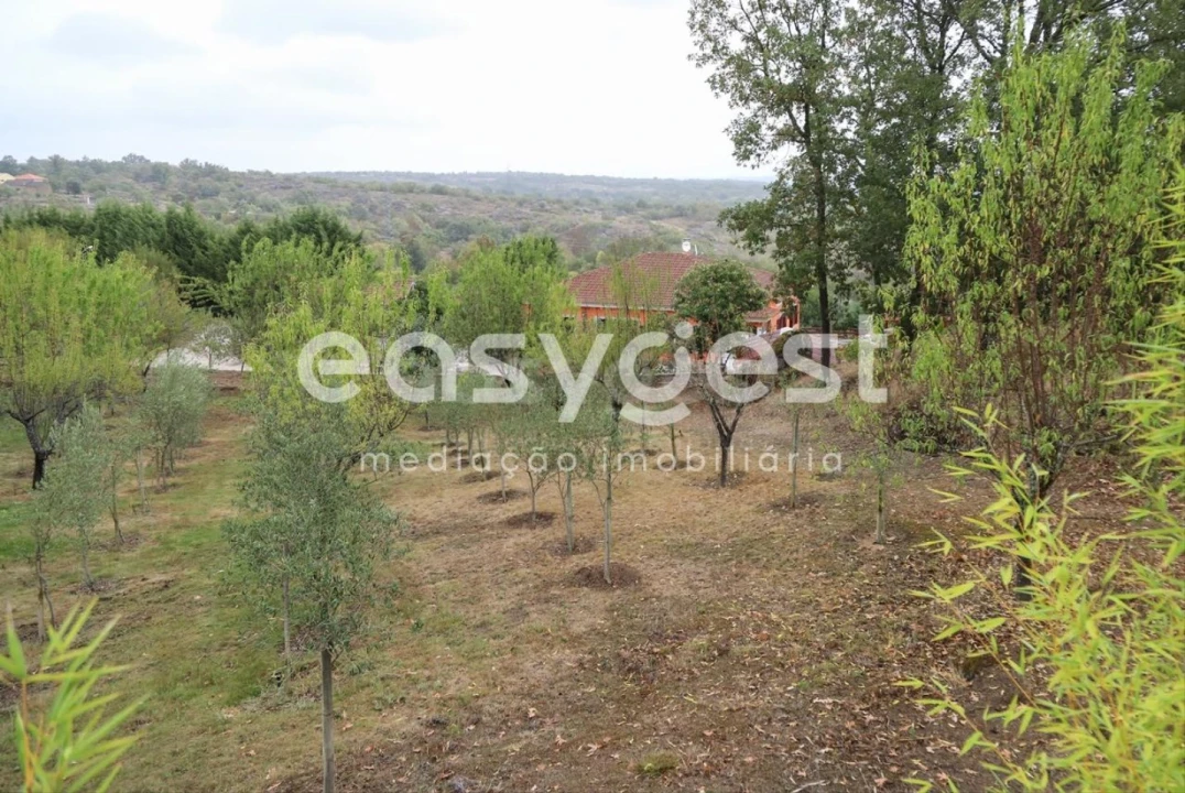 Quinta T1 para Venda em Castelo Mendo, Ade, Monteperobolso e Mesquitela Foto 19