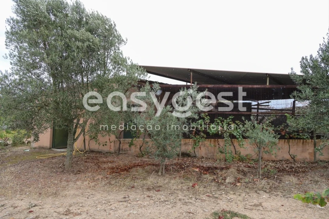 Quinta T1 para Venda em Castelo Mendo, Ade, Monteperobolso e Mesquitela Foto 21