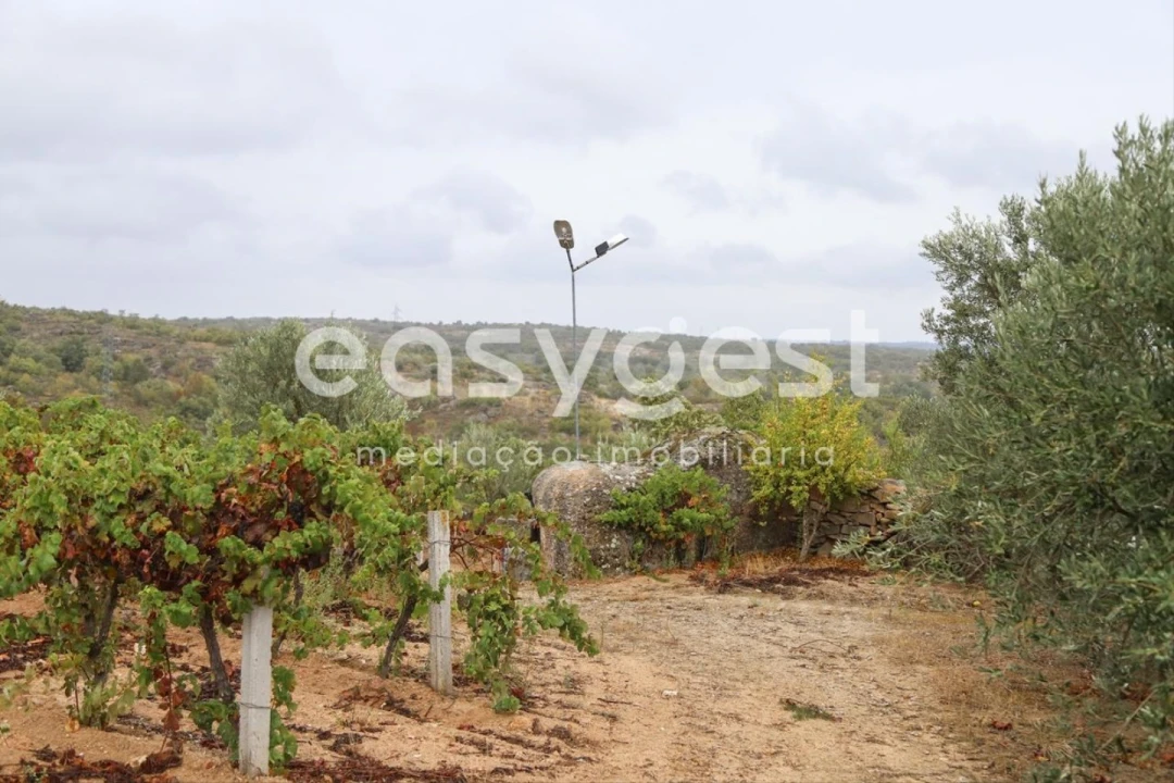 Quinta T1 para Venda em Castelo Mendo, Ade, Monteperobolso e Mesquitela Foto 23