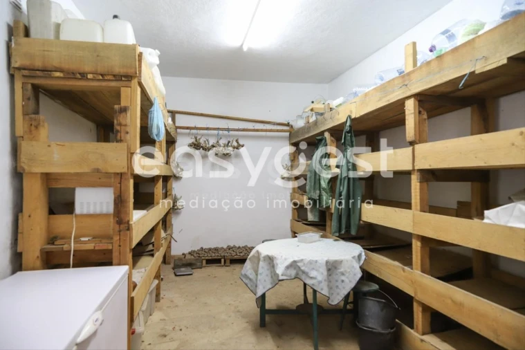 Quinta T1 para Venda em Castelo Mendo, Ade, Monteperobolso e Mesquitela Foto 6