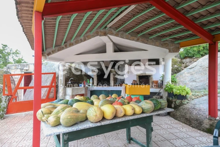 Quinta T1 para Venda em Castelo Mendo, Ade, Monteperobolso e Mesquitela Foto 12