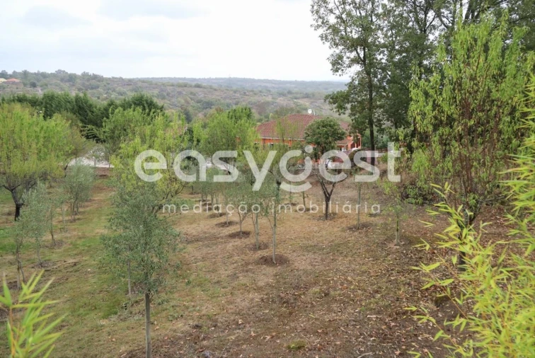 Quinta T1 para Venda em Castelo Mendo, Ade, Monteperobolso e Mesquitela Foto 19