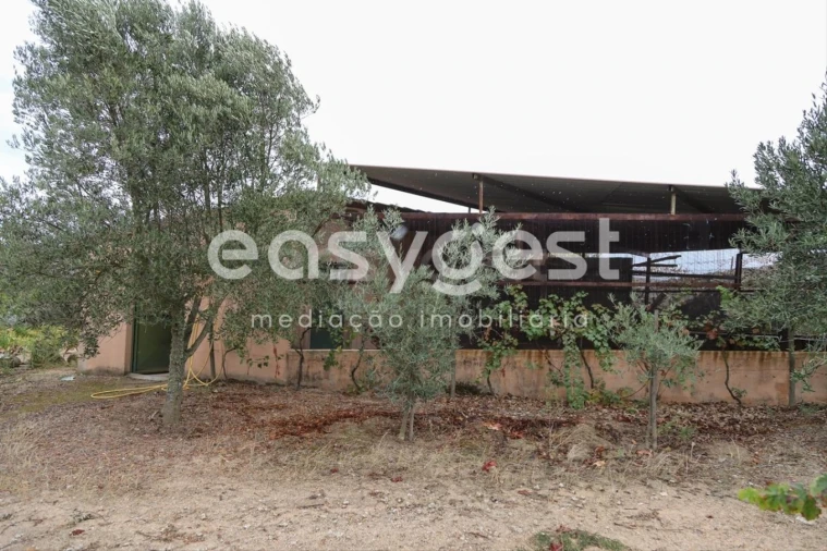 Quinta T1 para Venda em Castelo Mendo, Ade, Monteperobolso e Mesquitela Foto 21