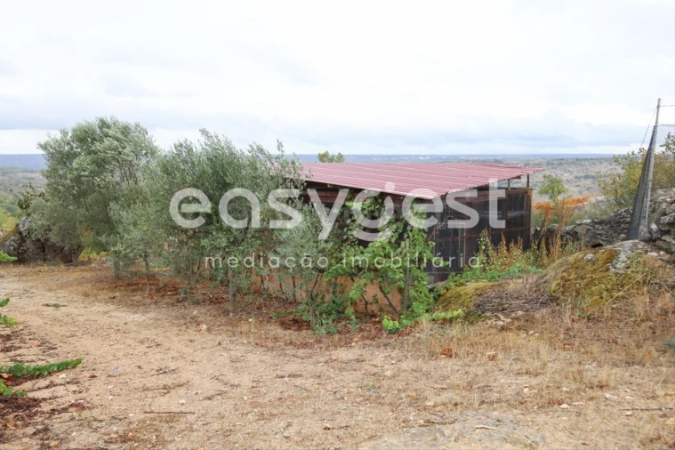 Quinta T1 para Venda em Castelo Mendo, Ade, Monteperobolso e Mesquitela Foto 22