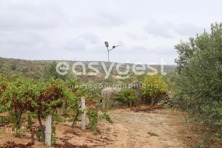 Quinta T1 para Venda em Castelo Mendo, Ade, Monteperobolso e Mesquitela Foto 23