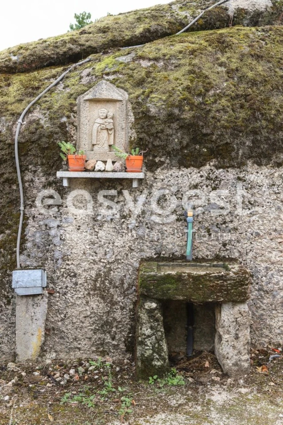 Quinta T1 para Venda em Castelo Mendo, Ade, Monteperobolso e Mesquitela Foto 26