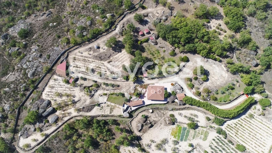 Quinta T1 para Venda em Castelo Mendo, Ade, Monteperobolso e Mesquitela Foto 29