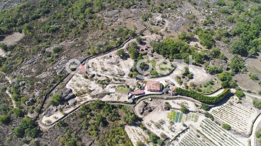 Quinta T1 para Venda em Castelo Mendo, Ade, Monteperobolso e Mesquitela Foto 30