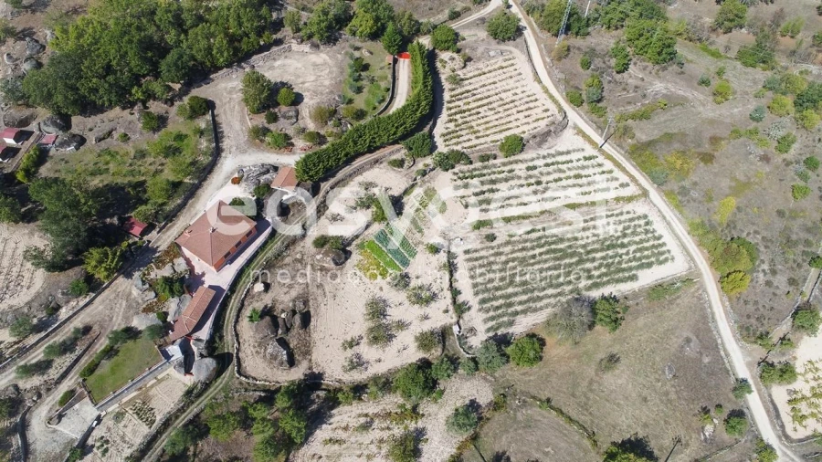 Quinta T1 para Venda em Castelo Mendo, Ade, Monteperobolso e Mesquitela Foto 32