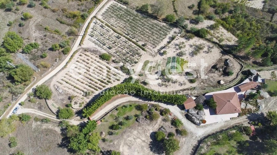 Quinta T1 para Venda em Castelo Mendo, Ade, Monteperobolso e Mesquitela Foto 33