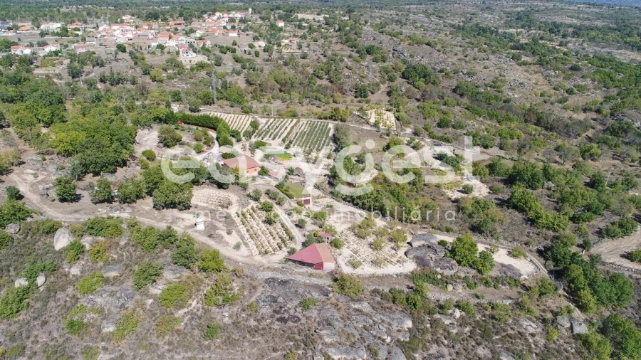 Quinta T1 para Venda em Castelo Mendo, Ade, Monteperobolso e Mesquitela Foto 37