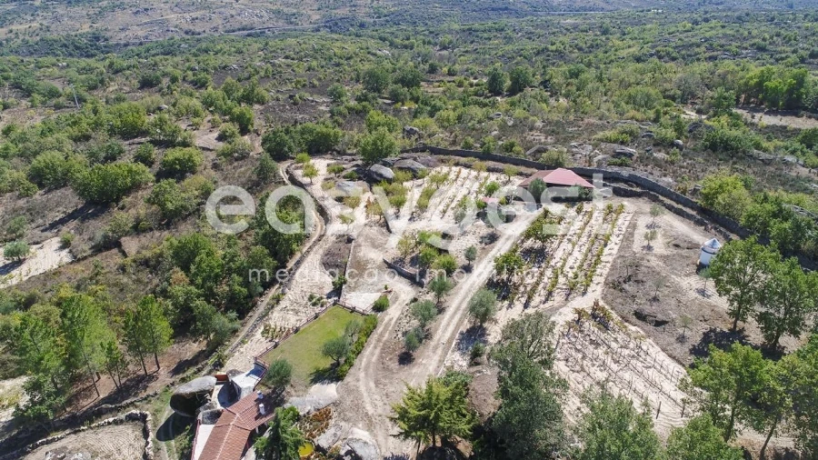 Quinta T1 para Venda em Castelo Mendo, Ade, Monteperobolso e Mesquitela Foto 39