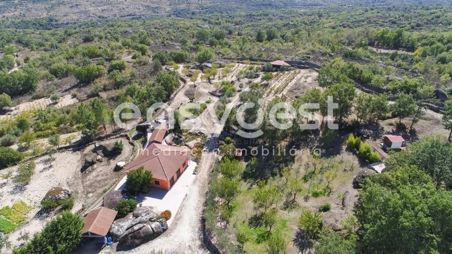 Quinta T1 para Venda em Castelo Mendo, Ade, Monteperobolso e Mesquitela Foto 40