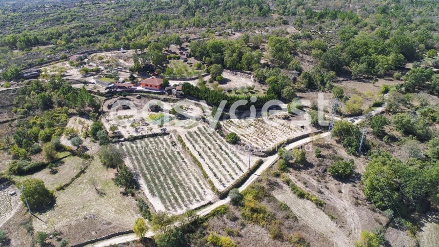 Quinta T1 para Venda em Castelo Mendo, Ade, Monteperobolso e Mesquitela Foto 42