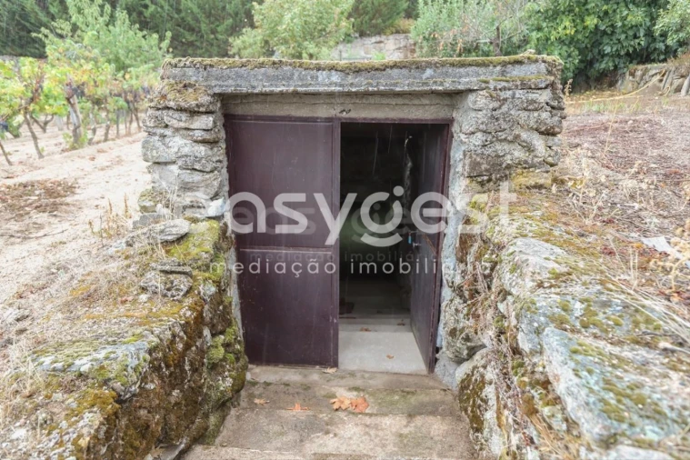 Quinta T1 para Venda em Castelo Mendo, Ade, Monteperobolso e Mesquitela Foto 44