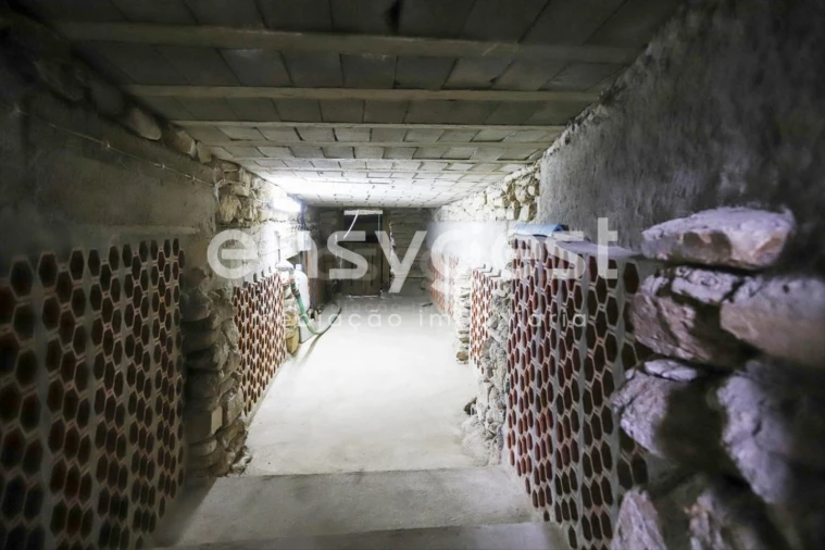 Quinta T1 para Venda em Castelo Mendo, Ade, Monteperobolso e Mesquitela Foto 45